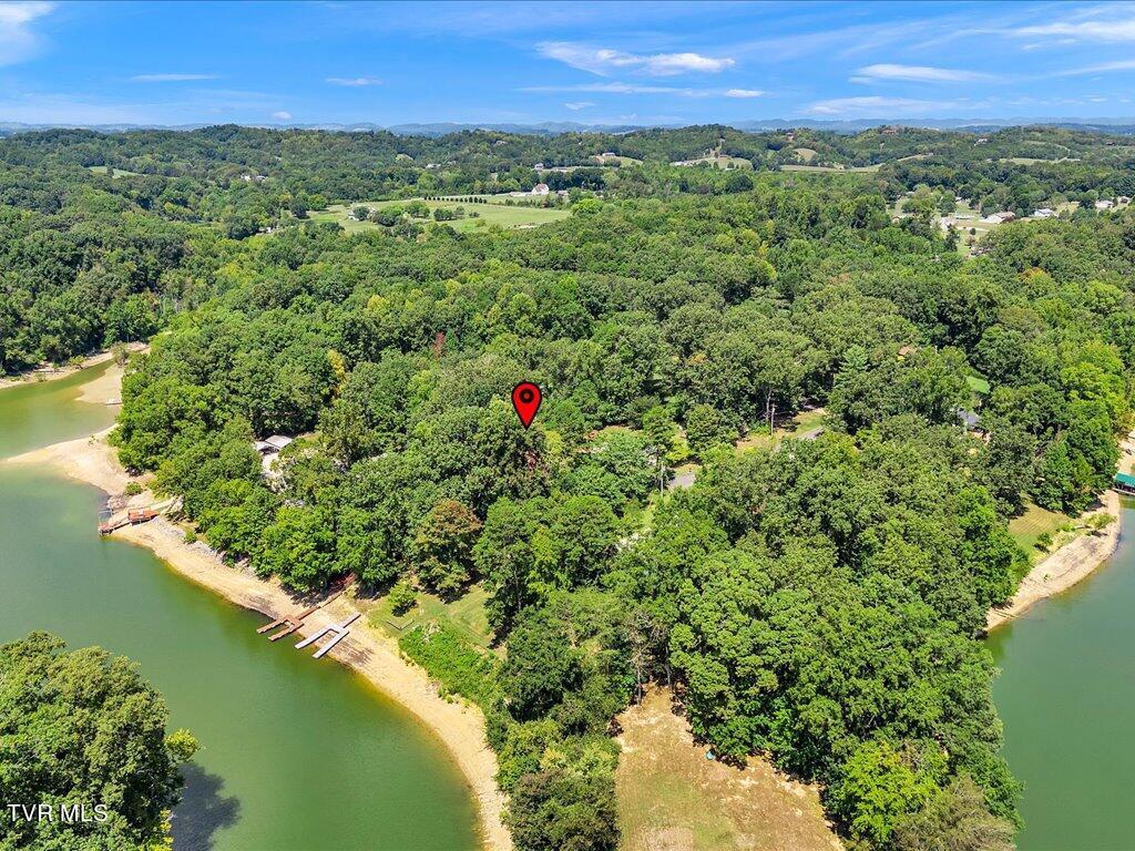 3429 Connie Lane, White Pine, Tennessee image 48