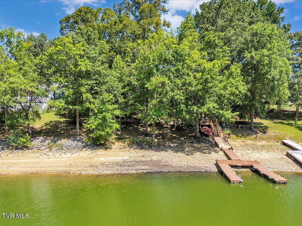 3429 Connie Lane, White Pine, Tennessee image 3