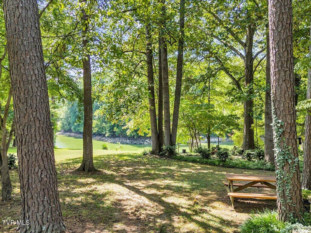 3429 Connie Lane, White Pine, Tennessee image 41