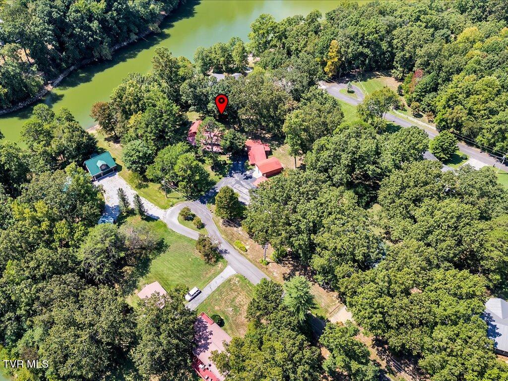 3429 Connie Lane, White Pine, Tennessee image 46