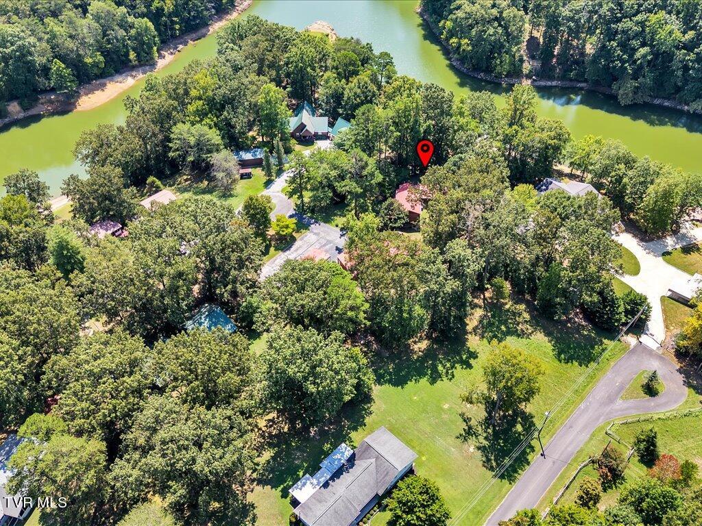 3429 Connie Lane, White Pine, Tennessee image 45
