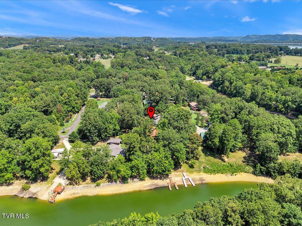 3429 Connie Lane, White Pine, Tennessee image 49