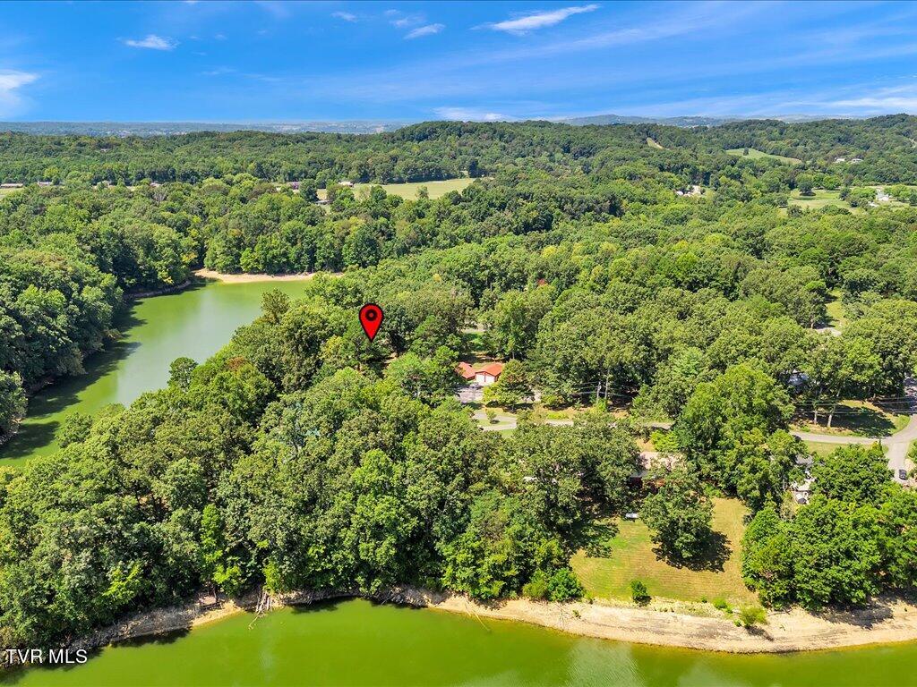 3429 Connie Lane, White Pine, Tennessee image 47