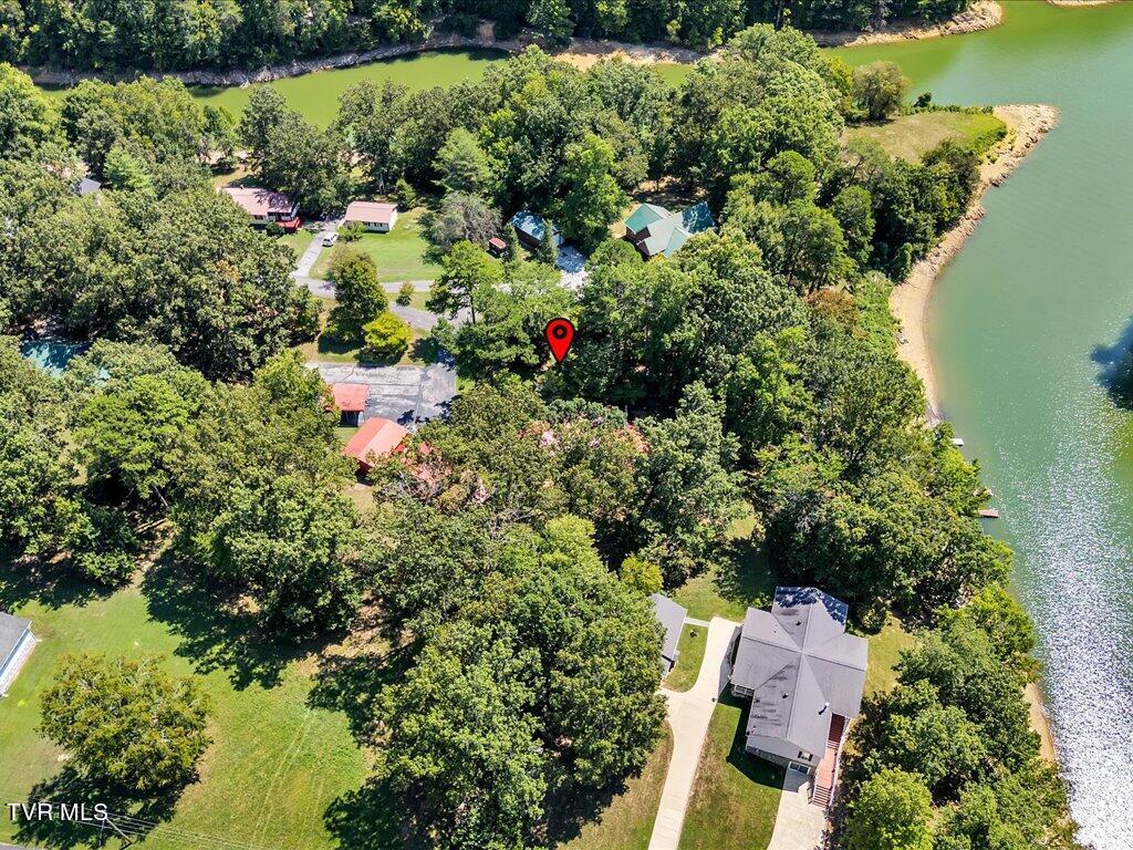 3429 Connie Lane, White Pine, Tennessee image 44