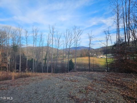 Vacant Land For Sale - 000 Galax Drive<br/> Unicoi County, Erwin, TN 37650