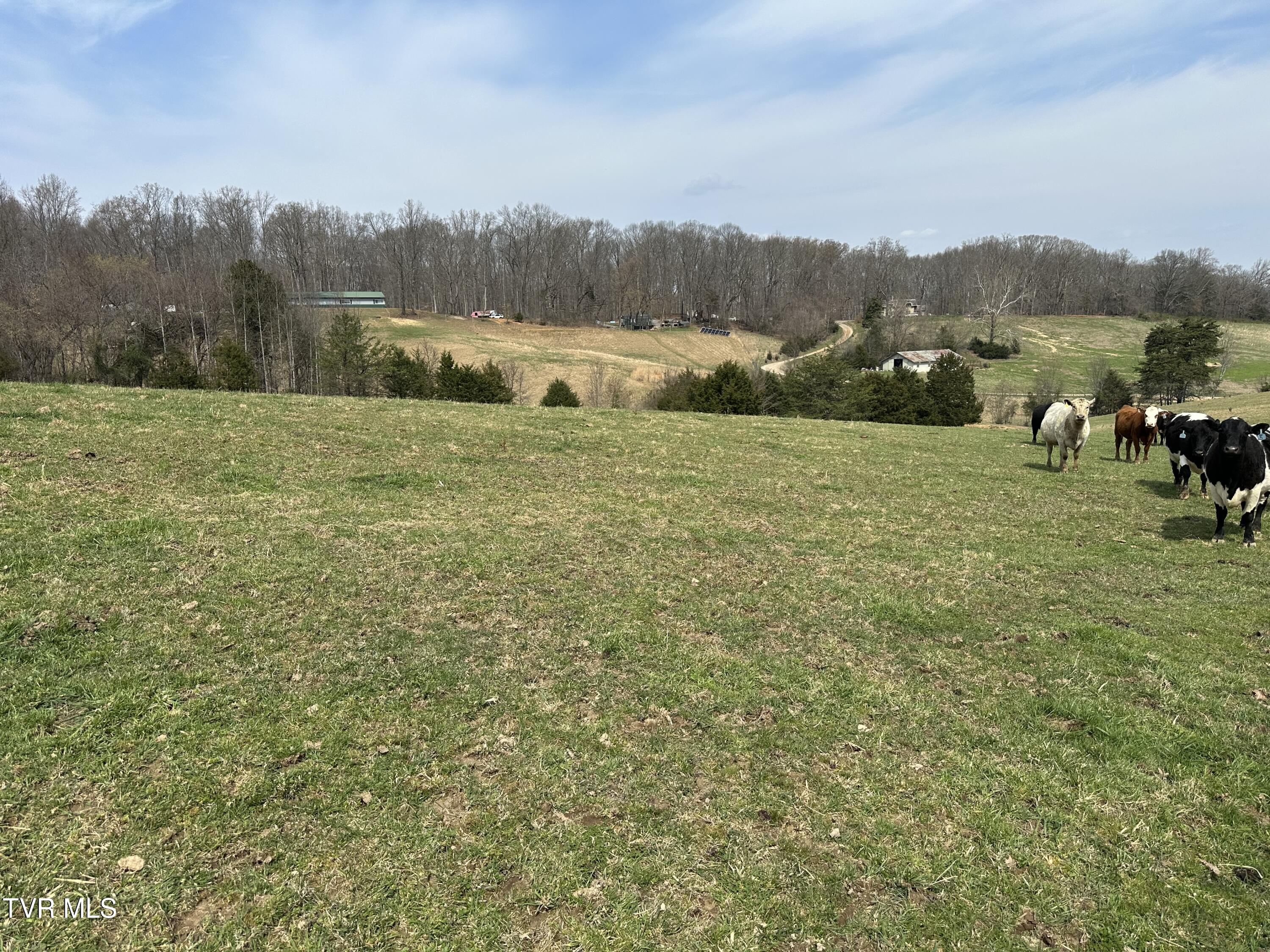 Lot 1 Old Snapps Ferry Road