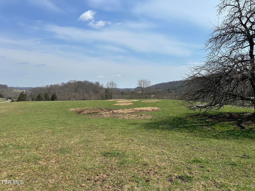 Photo of 1 Old Snapps Ferry Road, Chuckey, TN 37641 (MLS # 9992914)