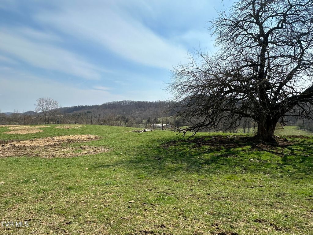 Photo of 1 Old Snapps Ferry Road, Chuckey, TN 37641 (MLS # 9992914)