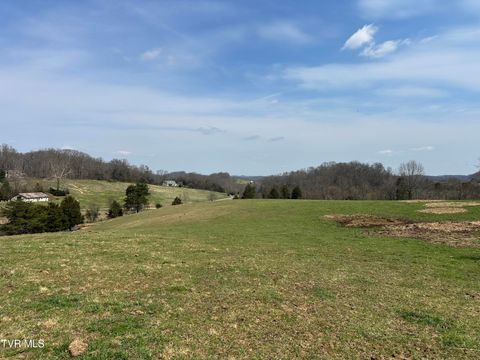 Vacant Land For Sale - LOT 1 Old Snapps Ferry Road<br/> Chuckey, TN 37641