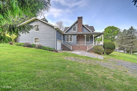 Photo of 602 Heaton Creek Road, Roan Mountain, TN 37687 (MLS # 9994961)