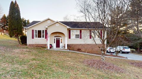Photo of 167 Highland Hills Drive, Gray, TN 37615 (MLS # 9990468)