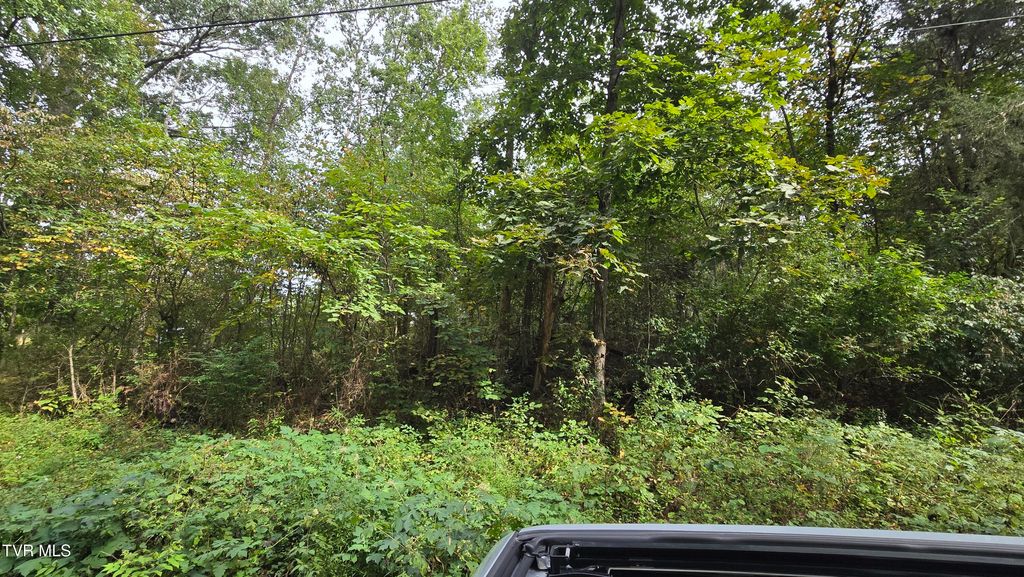 Photo of 00 Blue Friday Road, Gray, TN 37615 (MLS # 9986323)