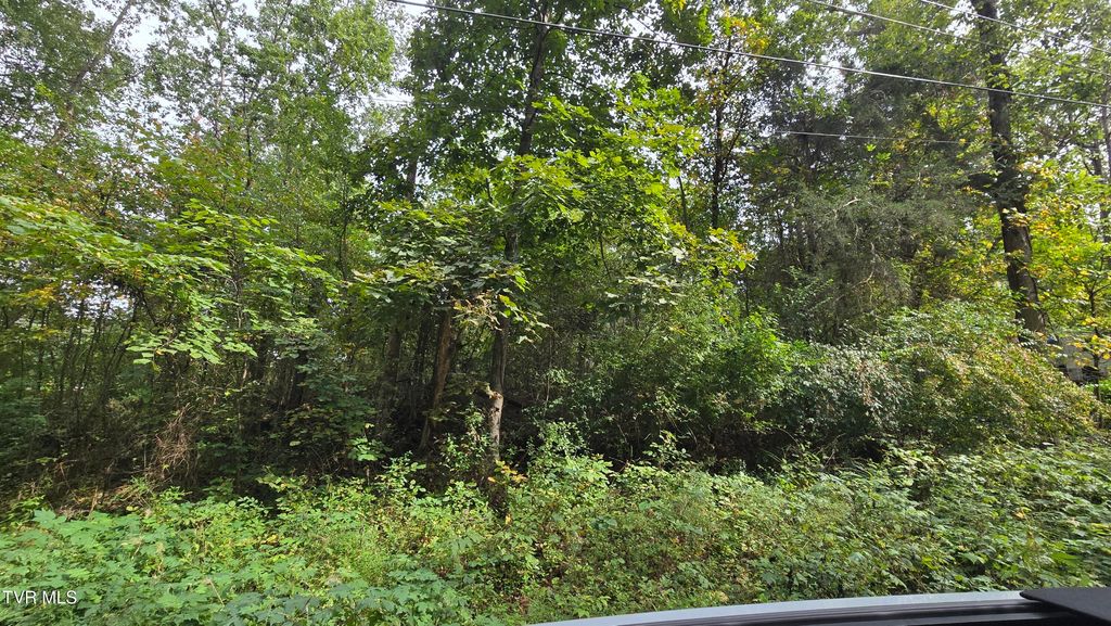 Photo of 00 Blue Friday Road, Gray, TN 37615 (MLS # 9986323)