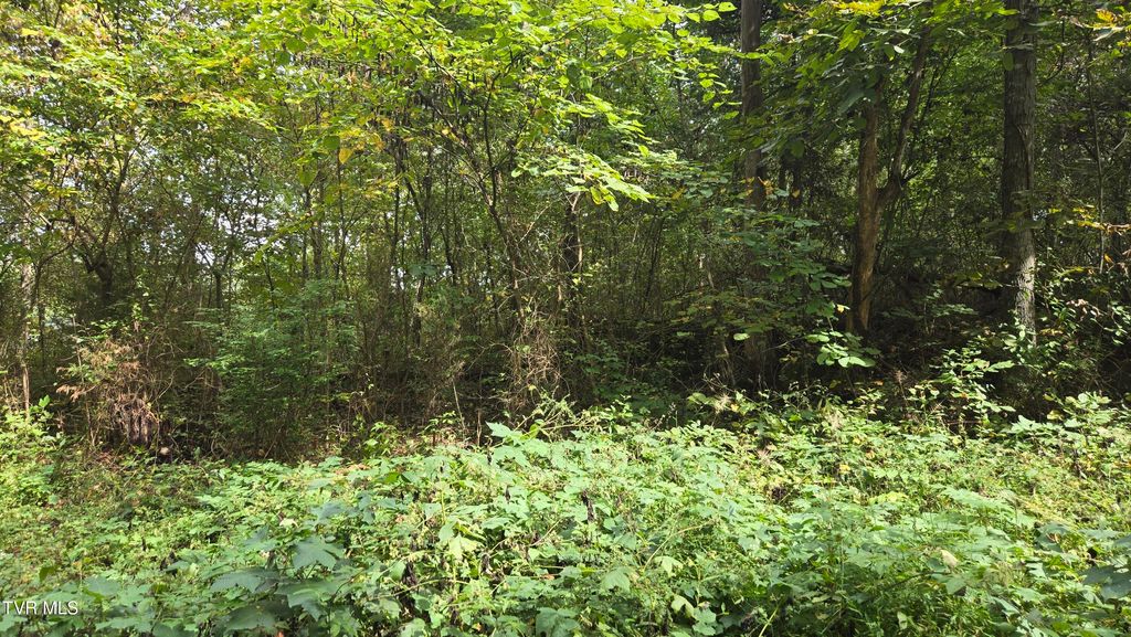 Photo of 00 Blue Friday Road, Gray, TN 37615 (MLS # 9986323)