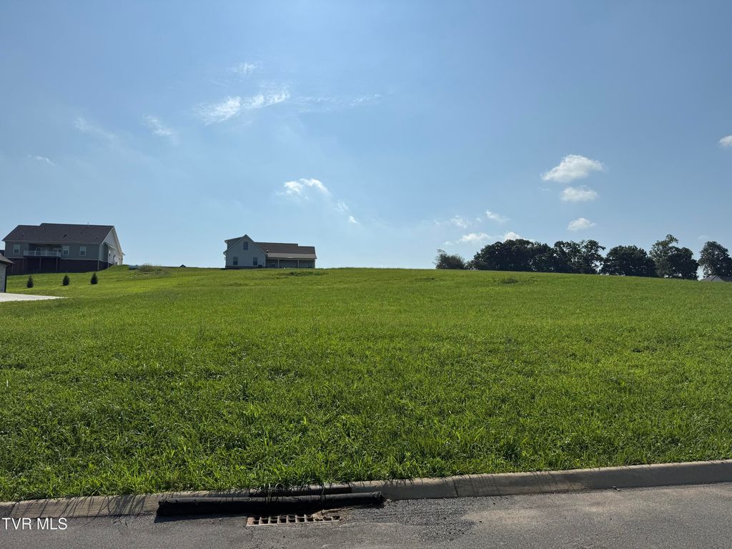 Photo of 49 Uncle Buddy&#39;S Way, Jonesborough, TN 37659 (MLS # 9983883)