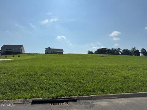 Vacant Land For Sale - LOT 49 Uncle Buddy's Way<br/> Jonesborough, TN 37659