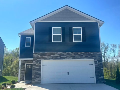 Homes For Sale - 249 Chimney View Loop<br/> Sullivan County County, Blountville, TN 37617