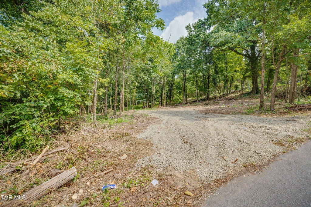 Photo of 3610 Thornton Drive, Kingsport, TN 37664 (MLS # 10000171)