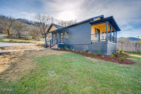 Photo of 201 Okolona Drive, Erwin, TN 37650 (MLS # 9988721)