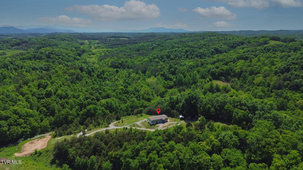 Photo of 290 Smith Hollow Road, Greeneville, TN 37743 (MLS # 9995902)