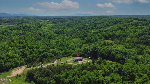 Photo of 290 Smith Hollow Road, Greeneville, TN 37743 (MLS # 9995902)