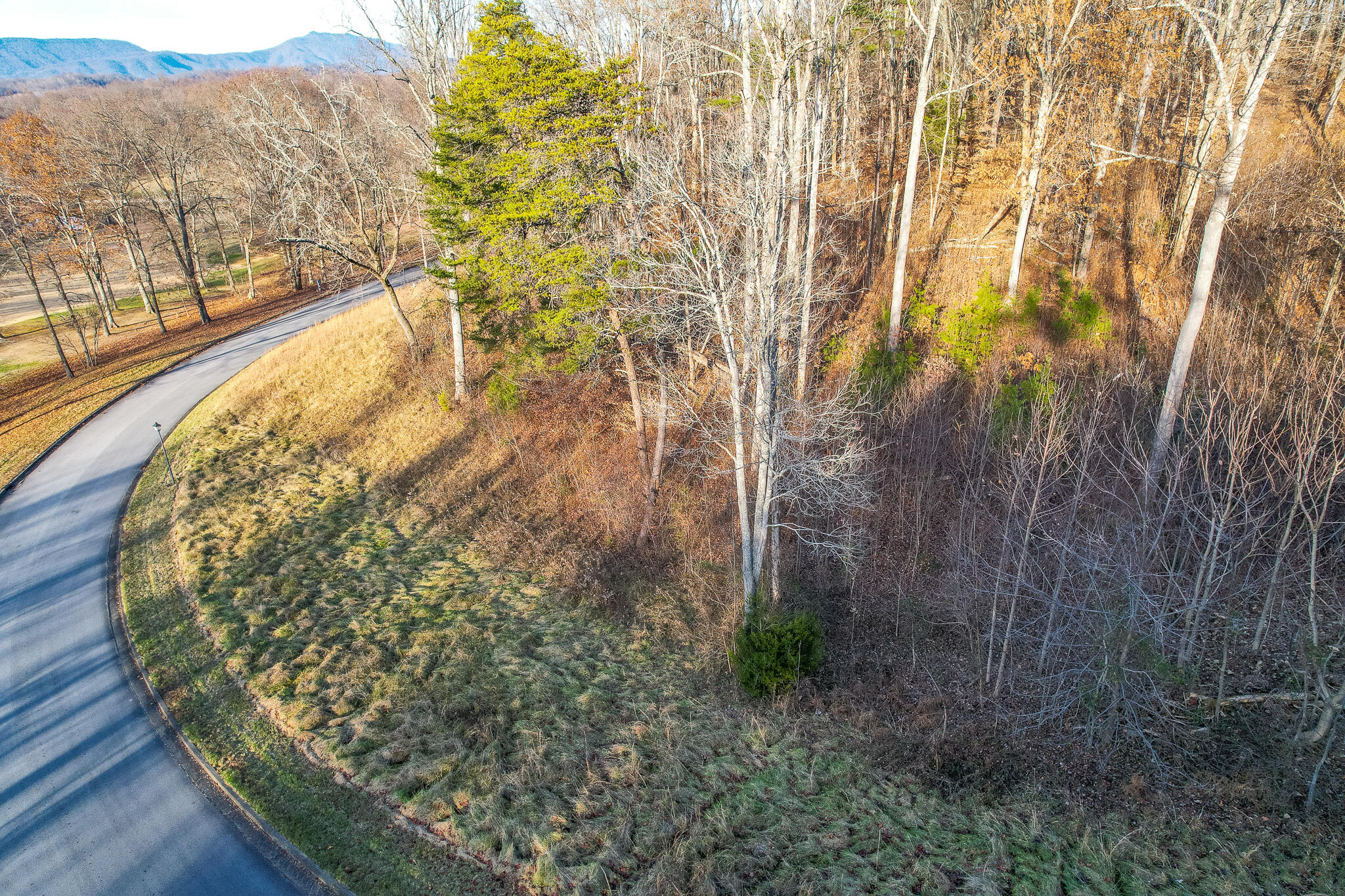 765 Chimney Top Lane, Chuckey, Tennessee image 3