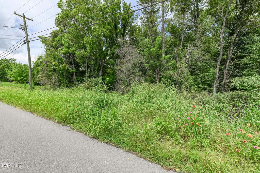 Photo of Tbd Post Oak Drive #39, Kingsport, TN 37663 (MLS # 9999752)