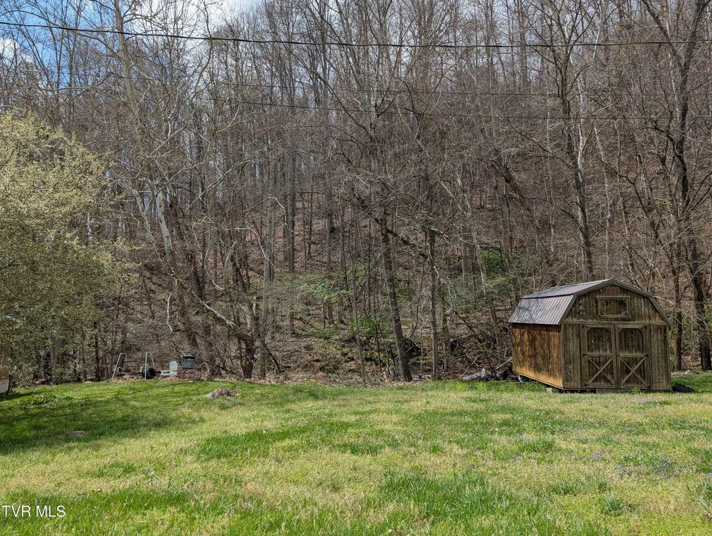 Photo of Tbd Cliff Mountain Way, Duffield, VA 24244 (MLS # 9994305)