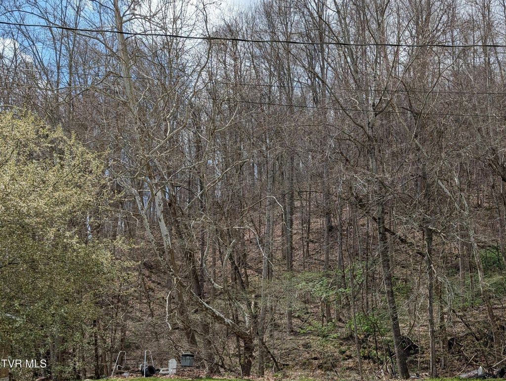 Photo of Tbd Cliff Mountain Way, Duffield, VA 24244 (MLS # 9994305)