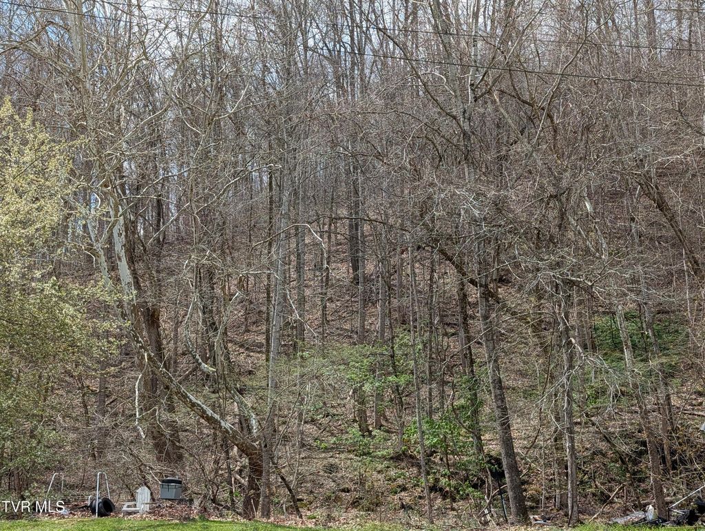 Photo of Tbd Cliff Mountain Way, Duffield, VA 24244 (MLS # 9994305)