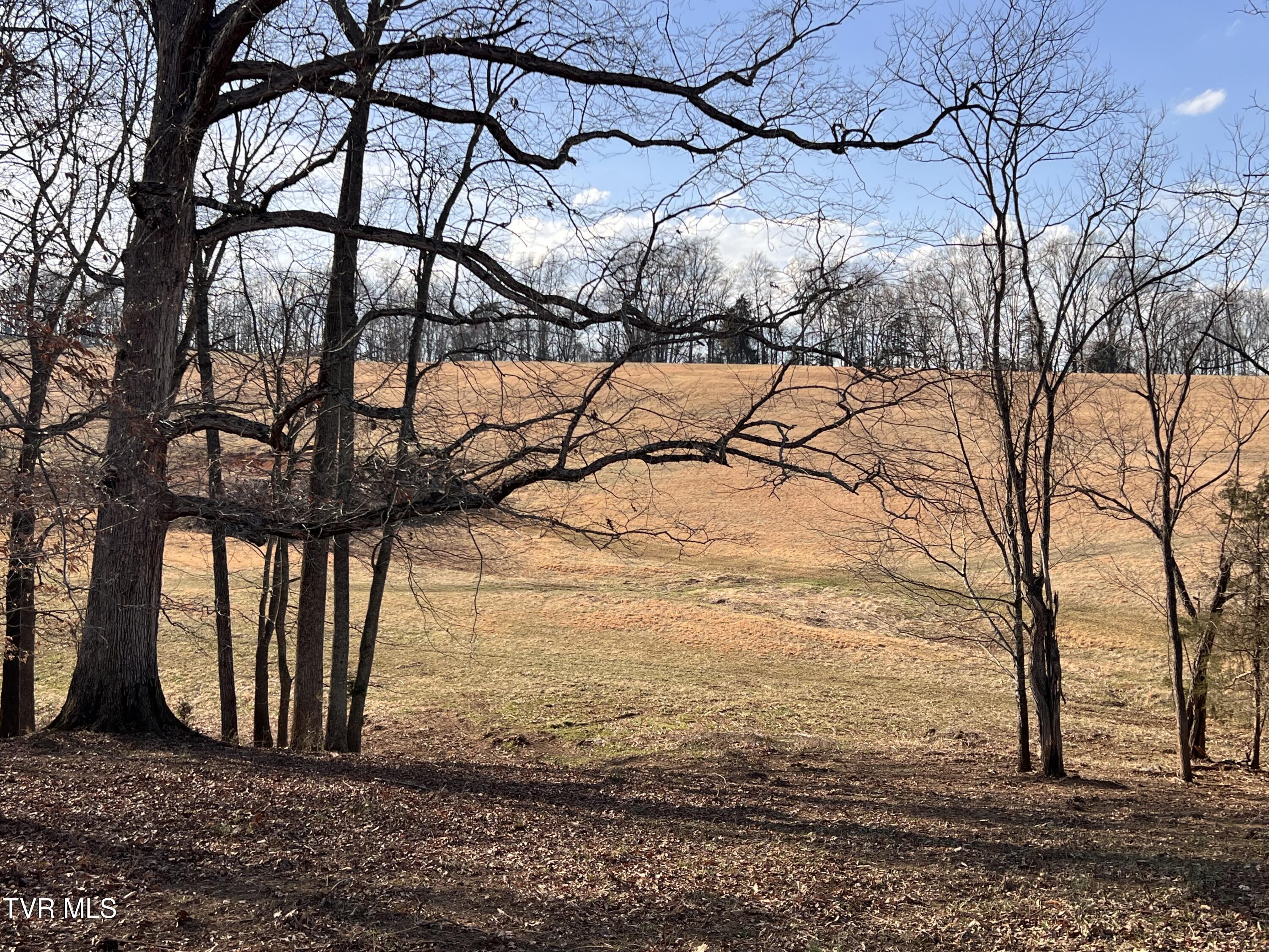 00 Jackson Road #LOT 12, Jonesborough, Tennessee image 3