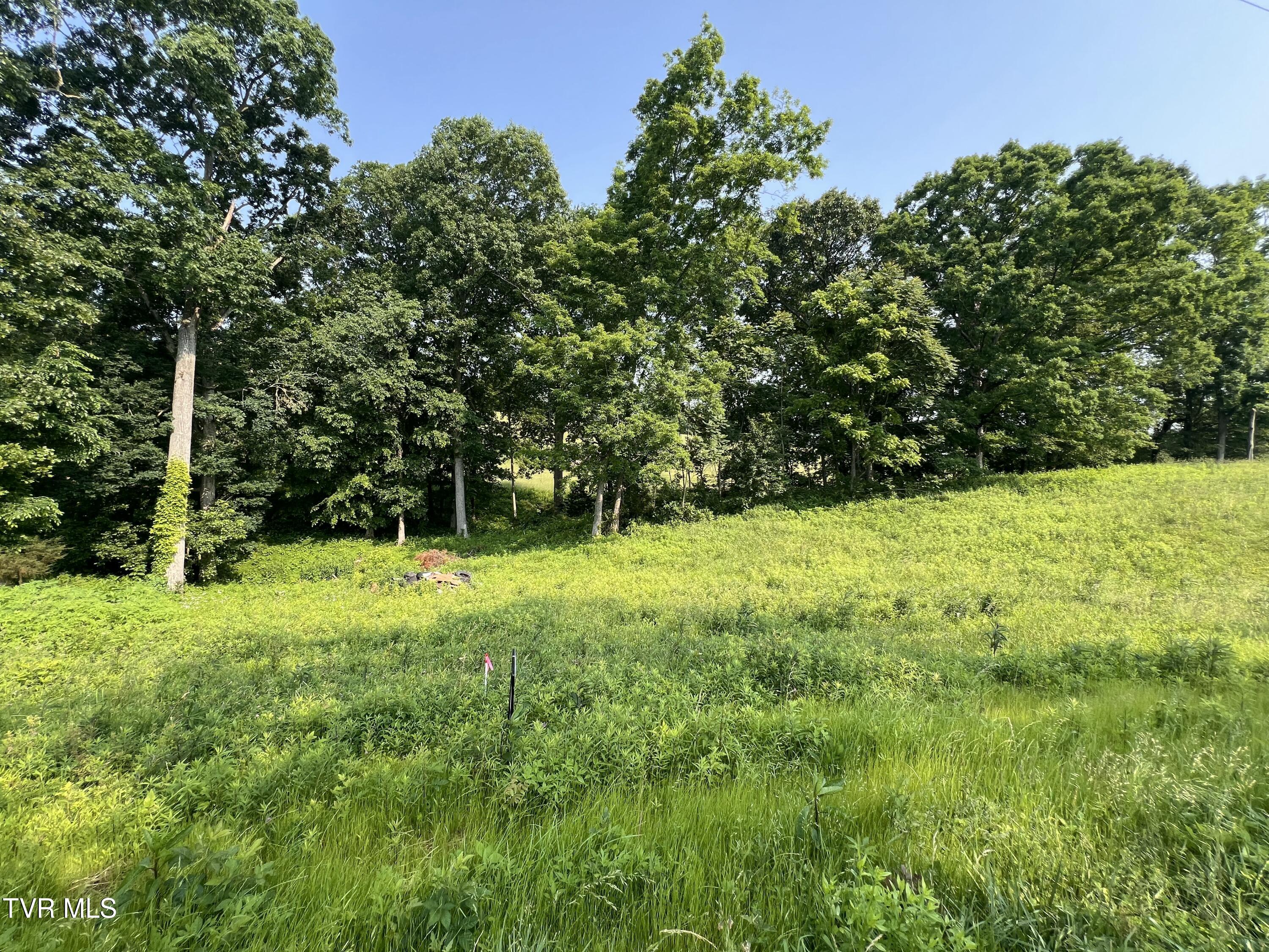 00 Jackson Road #LOT 12, Jonesborough, Tennessee image 5