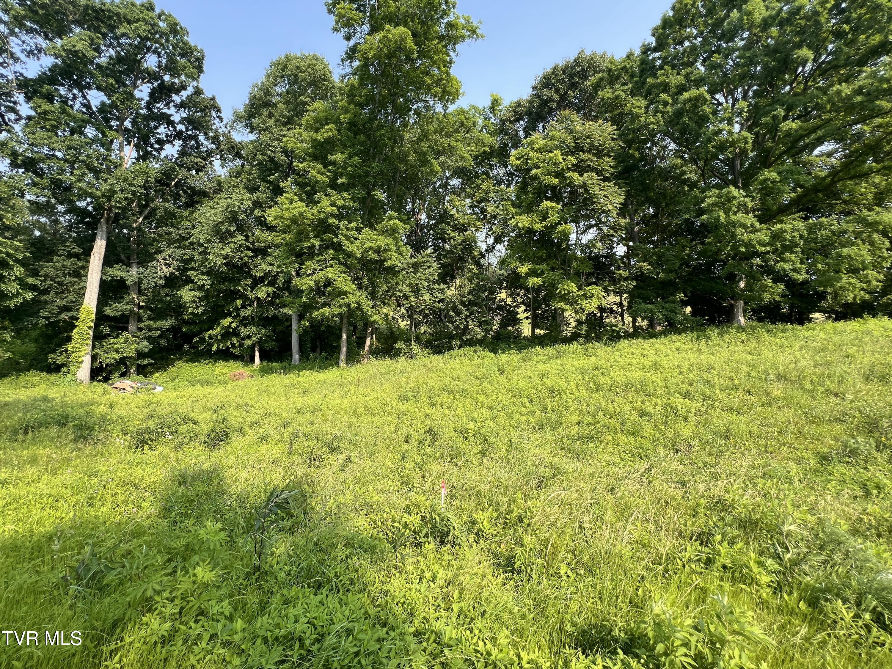 00 Jackson Road #LOT 12, Jonesborough, Tennessee image 6