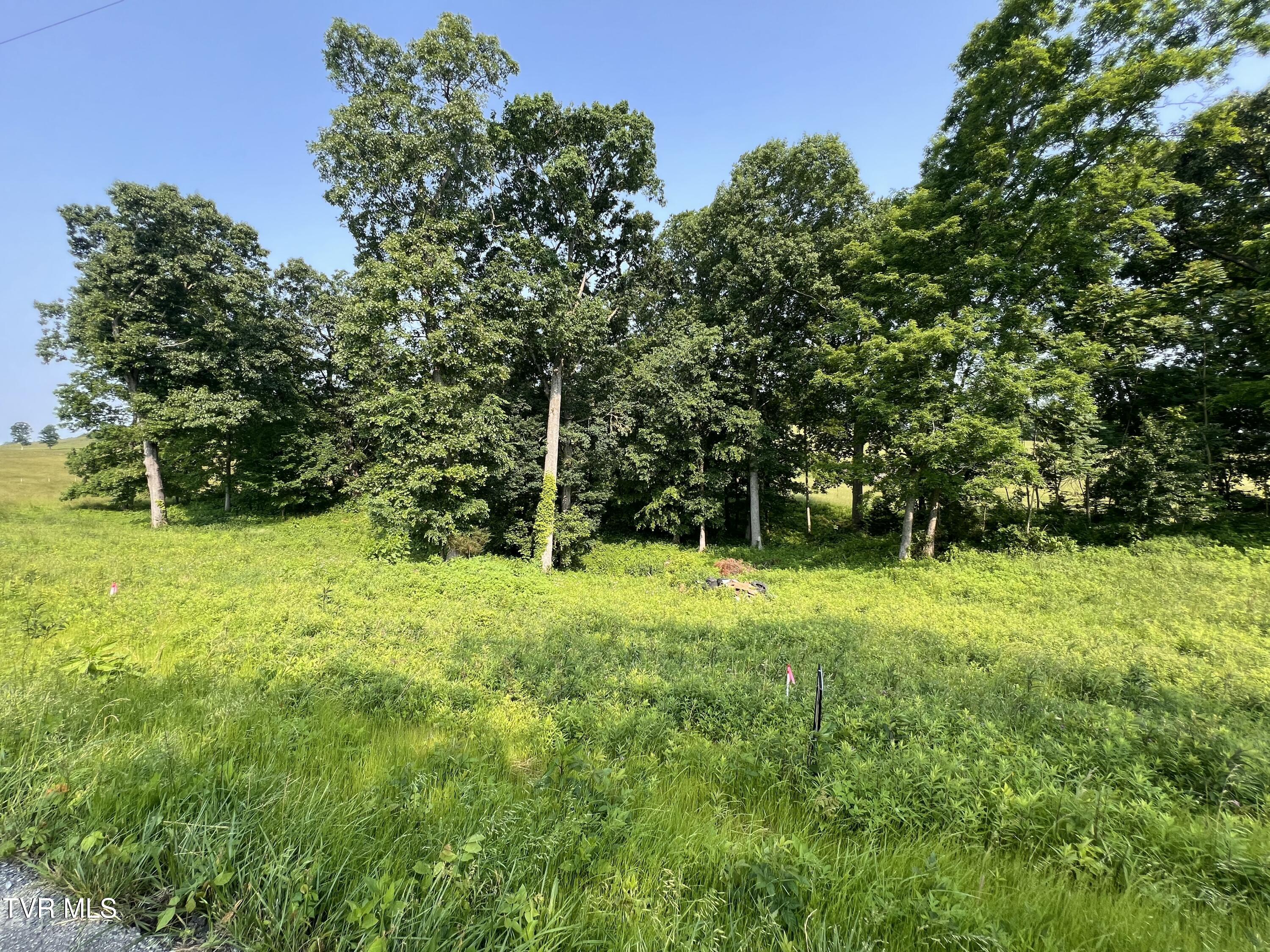 00 Jackson Road #LOT 12, Jonesborough, Tennessee image 7