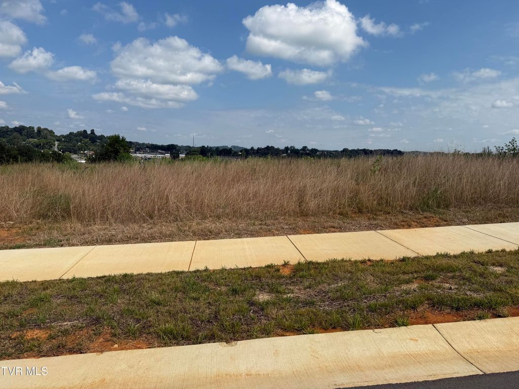 Photo of 27 Glaze Farm Way, Johnson City, TN 37601 (MLS # 9983875)