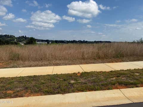 Vacant Land For Sale - 130 Glaze Farm Way<br/> Washington County County, Johnson City, TN 37601