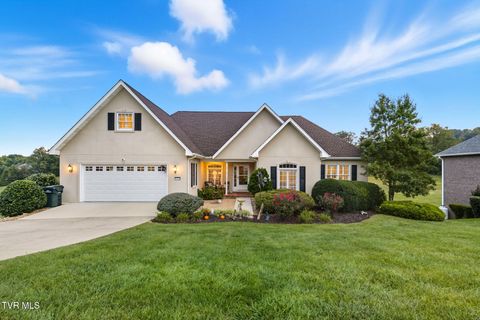 Tiny photo for 152 Acorn Lane, Bristol, VA 24202 (MLS # 9986285)
