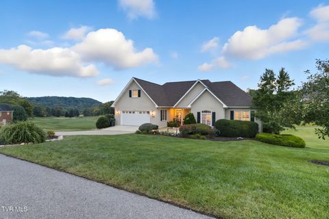 Tiny photo for 152 Acorn Lane, Bristol, VA 24202 (MLS # 9986285)