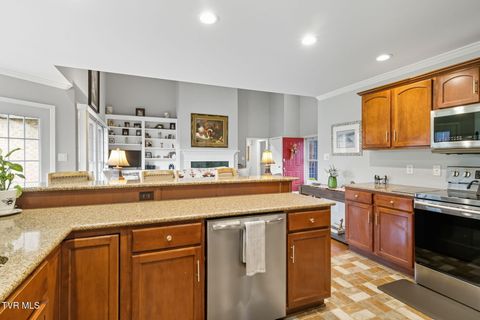 Tiny photo for 152 Acorn Lane, Bristol, VA 24202 (MLS # 9986285)
