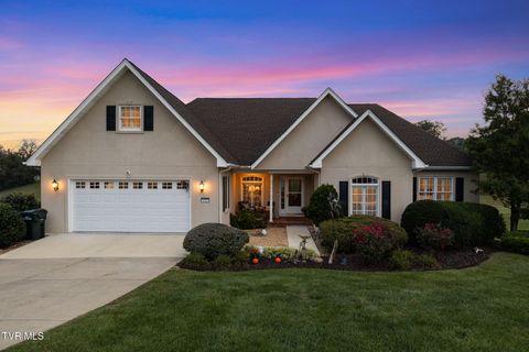 Tiny photo for 152 Acorn Lane, Bristol, VA 24202 (MLS # 9986285)