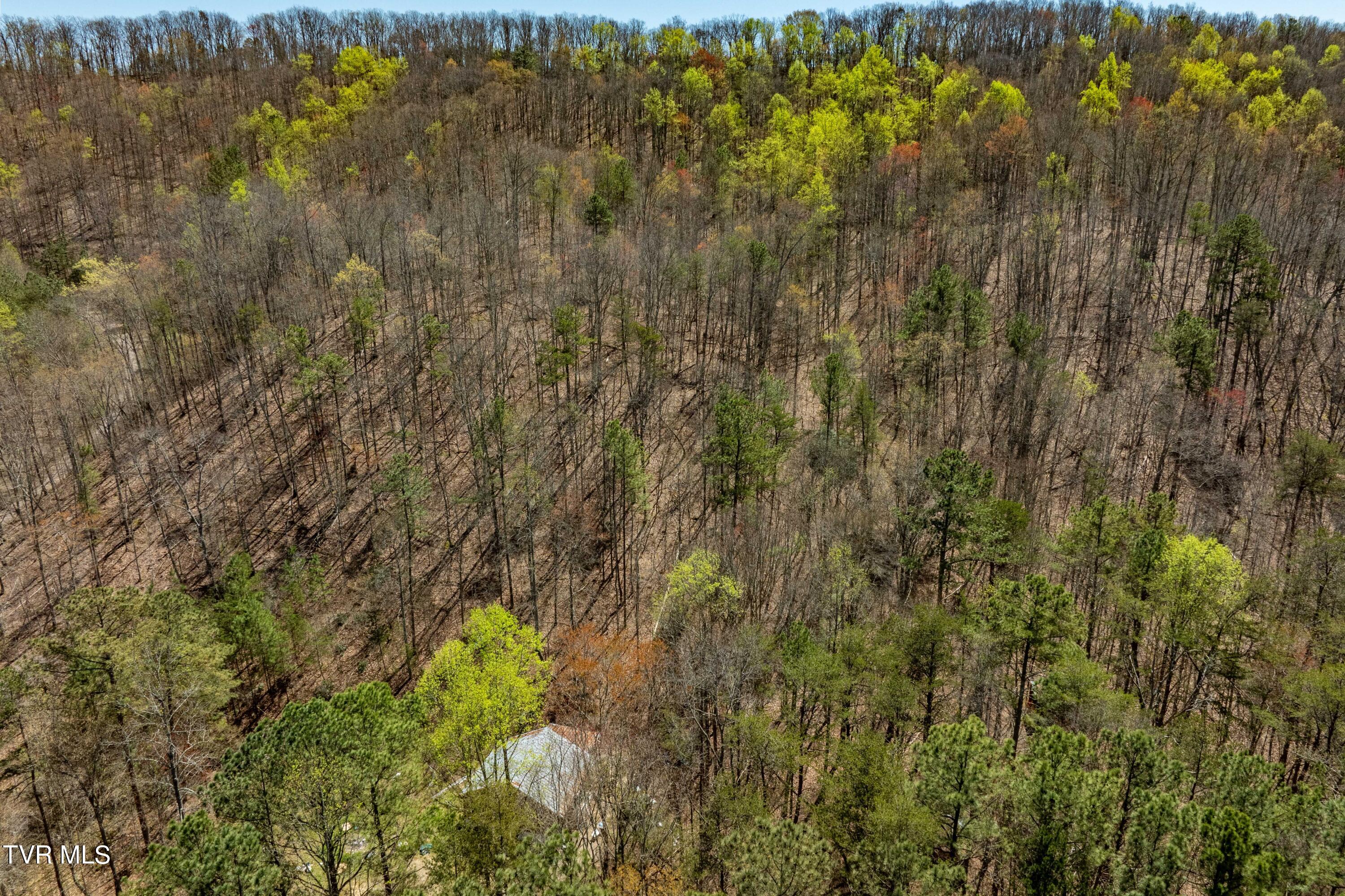 244 Speedwell Lane, Bulls Gap, Tennessee image 20