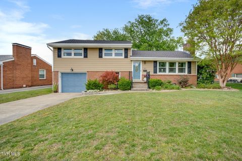 Photo of 2217 Swannanoa Avenue, Kingsport, TN 37664 (MLS # 9993891)