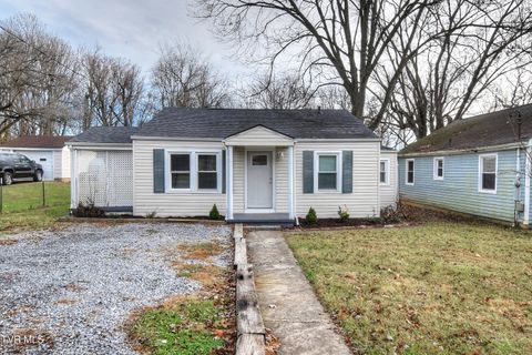 Photo of 805 Maple Street, Johnson City, TN 37601 (MLS # 9988679)