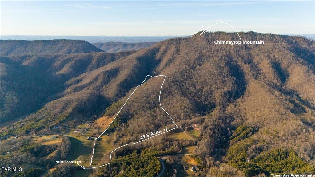 Photo of Tbd Nelse Roberts Road, Greeneville, TN 37745 (MLS # 9989578)