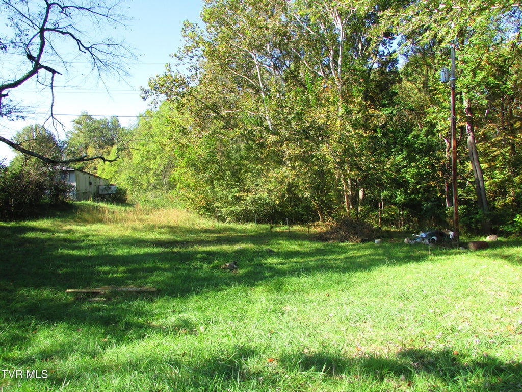 Photo of 3510 Highway 421, Mountain City, TN 37683 (MLS # 10002345)