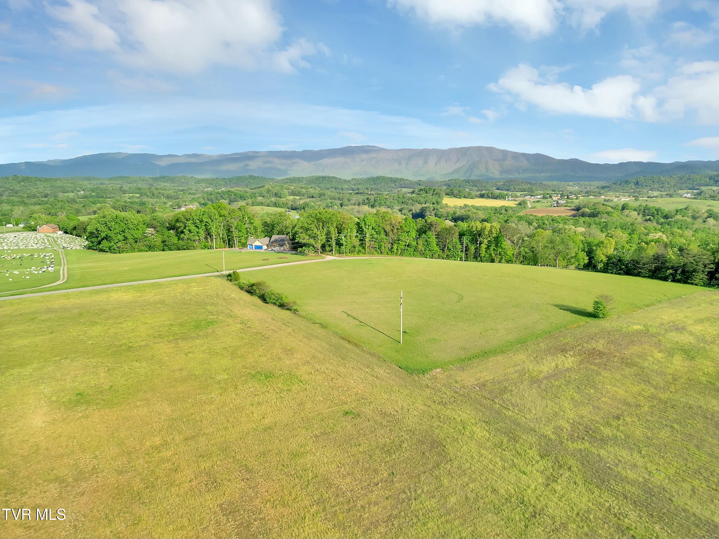Tbd Kinser Park Lane, Greeneville, Tennessee image 8