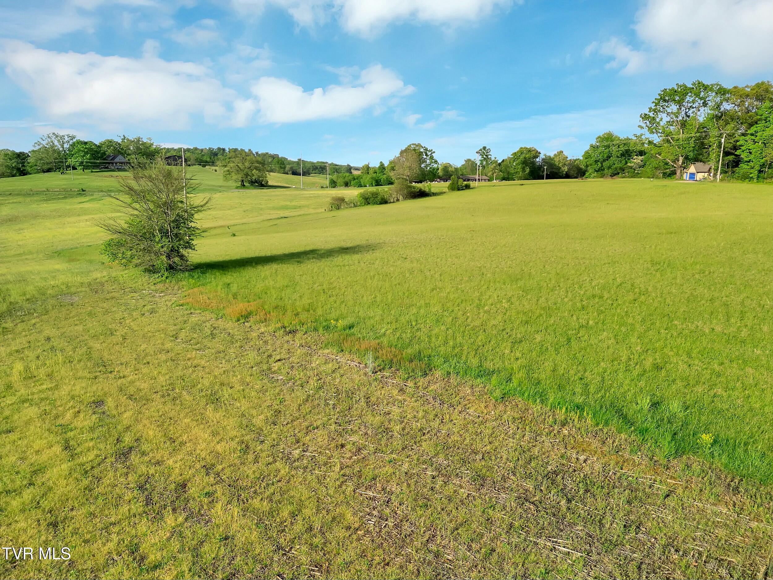 Tbd Kinser Park Lane, Greeneville, Tennessee image 13