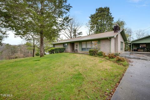 730 Outer Drive Rogersville TN 37857