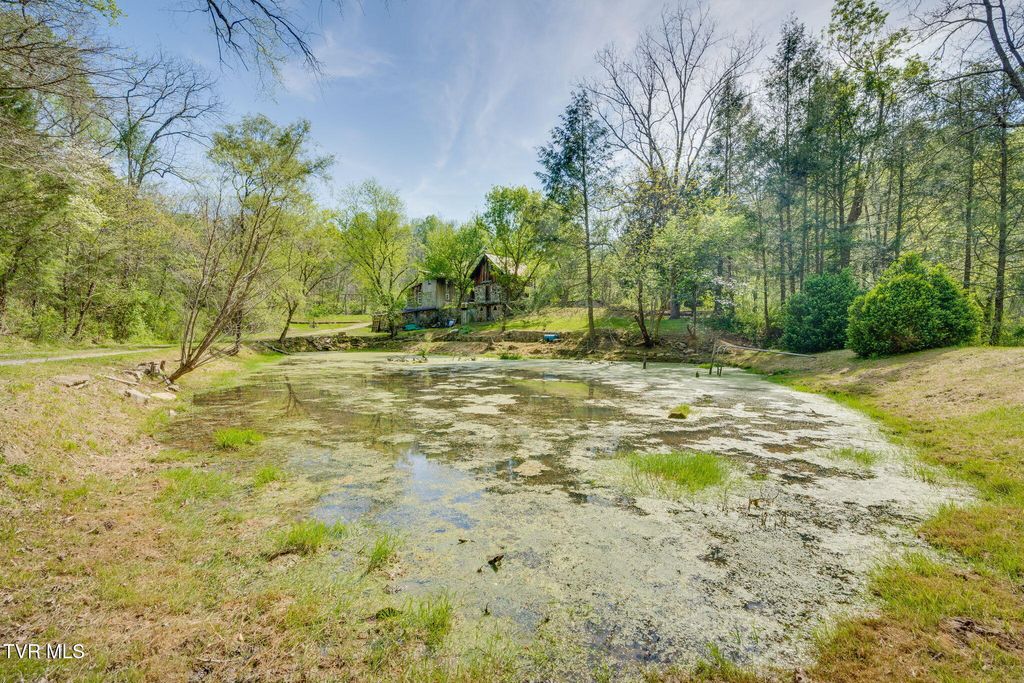 Photo of 170 Davis Road, Thorn Hill, TN 37881 (MLS # 9994153)