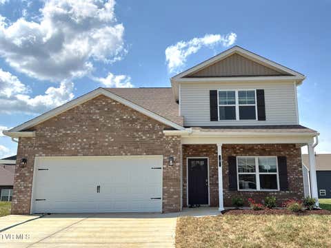 Homes For Sale - 9 Morsel Court Ct<br/> Johnson City, TN 37615